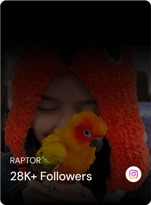 Aha background texture - stone pattern